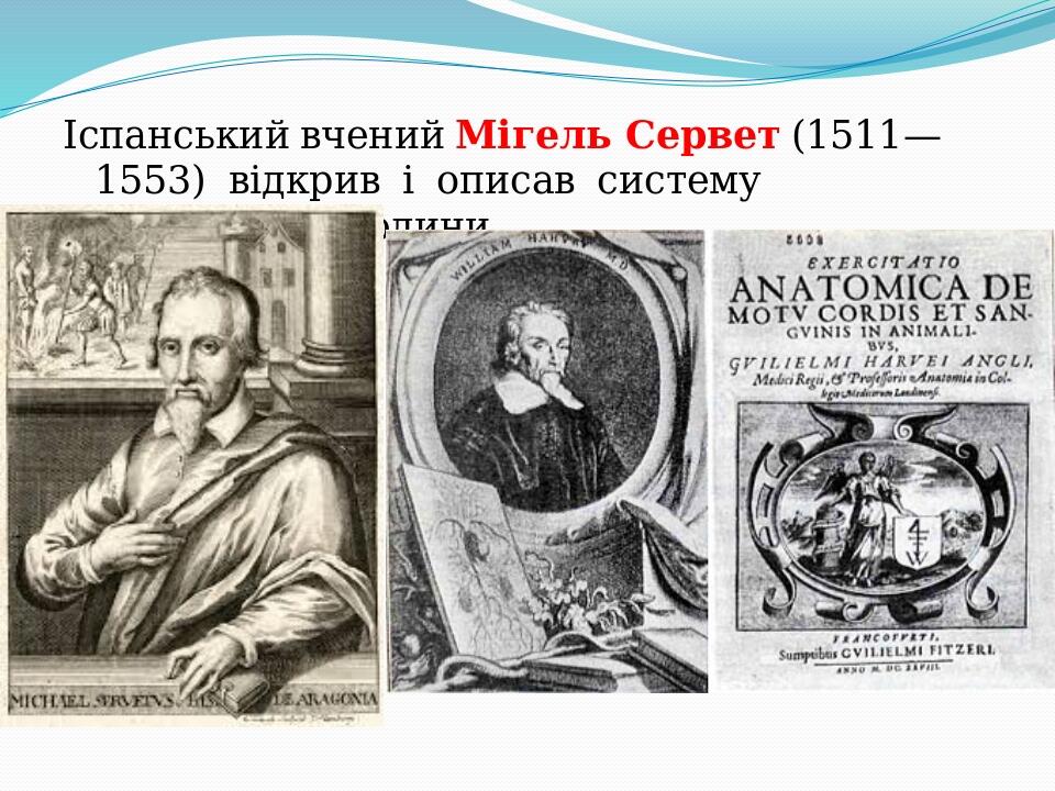 Іспанський вчений Мігель Сервет (1511— 1553)  відкрив  і  описав  систему  кровообігу  людини. 