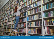 Junge Bibliothekarin, Die Ein Buch in Bücherregalen Suchen Stockfoto - Bild von bibliothekar, frau: 261579388