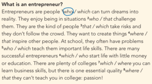 0.8 Young entrepreneurs