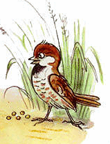 0500cvdz-ba99-194x254.png