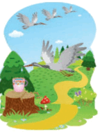 0500cwy8-5761-144x193.png
