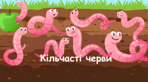 7-А Тест "Кільчасті черви"