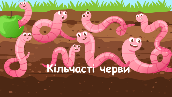 0500czx5-b5f1-700x394.png