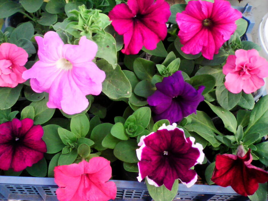 0500d0of-36bb-940x705.jpg