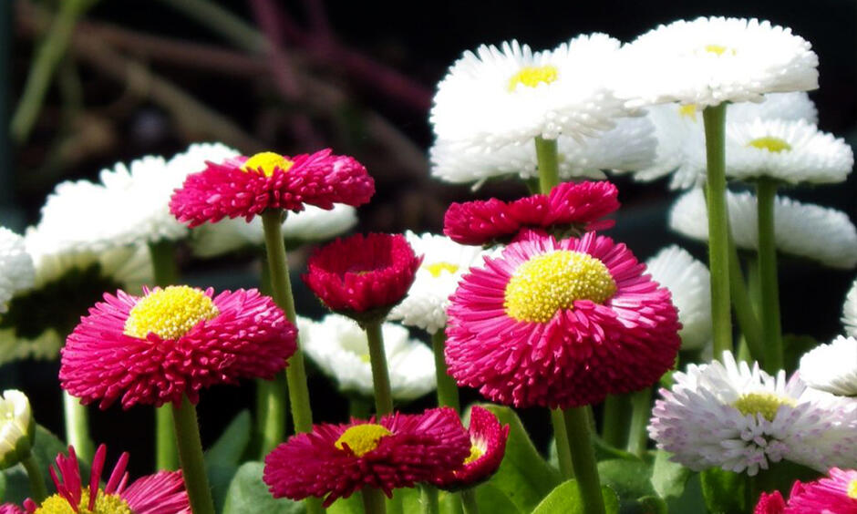 0500d0s3-526f-940x564.jpg