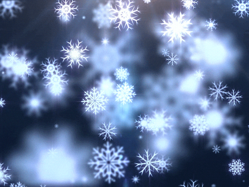 0500d19l-3169-800x600.gif