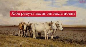 «Хіба ревуть воли, як ясла повні?» – перший соціально- психологічний роман в українській літературі