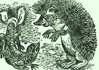Олег Буцень. Оповідання. Як приходить весна. Збірка Наше відкриття. Роздділ Солодкий дощ. Художник Володимир Гончаренко. Неприємна пригода, оповідання