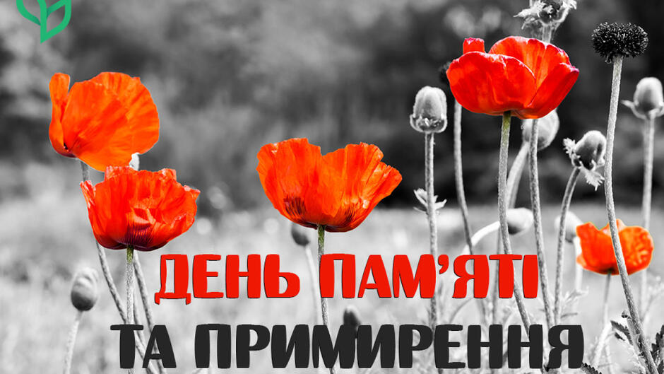 0500d48n-4de0-940x529.jpg