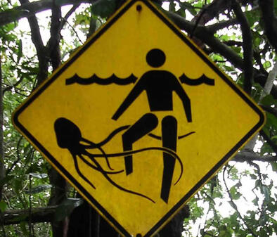 Asteroid water, box jellyfish stings, and pints of science | 3CR Community Radio