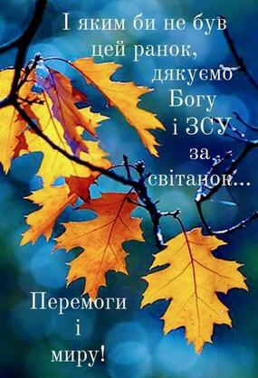 0500d62r-a0c4-285x418.jpg