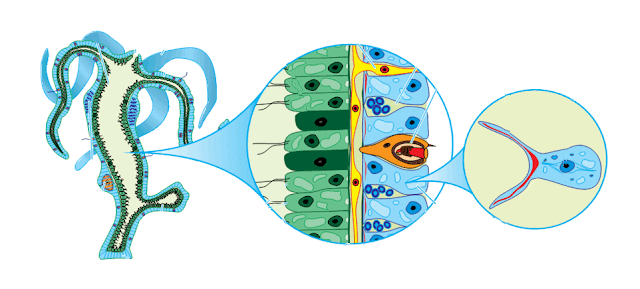 0500d9o7-be1c-640x289.png