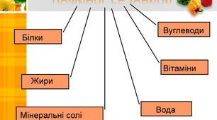 Ферменти. Вуглеводи.