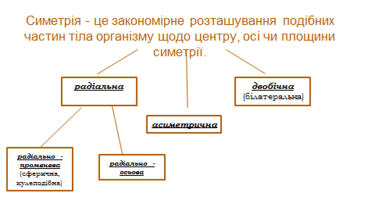 0500dnrb-3db7-750x422.png