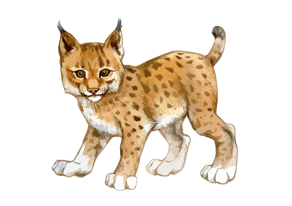 0500dpfy-8d0f-940x665.png