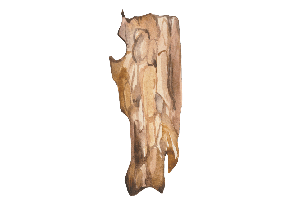 0500dphs-8e95-940x665.png