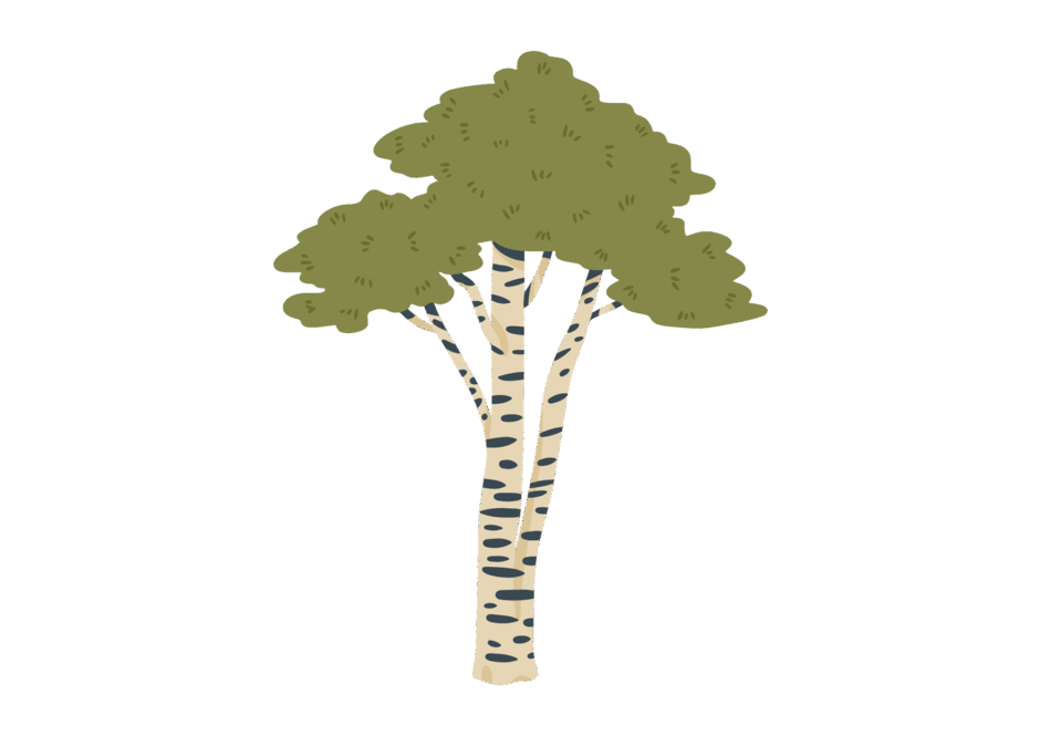 0500dpi6-2bc6-940x665.png