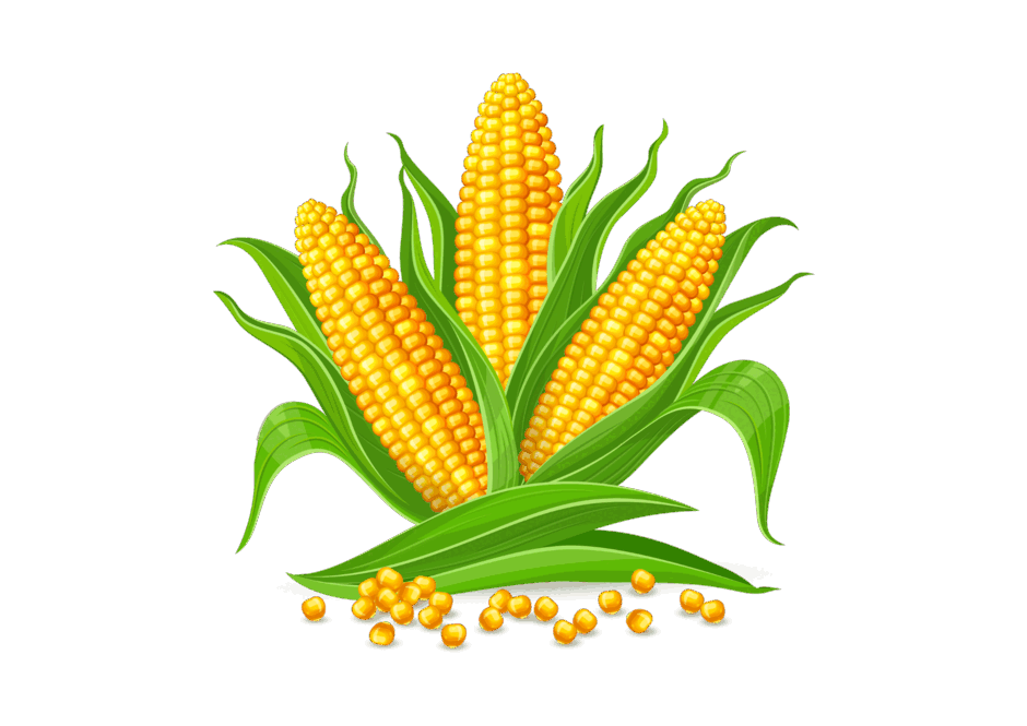 0500dpjh-2417-940x665.png