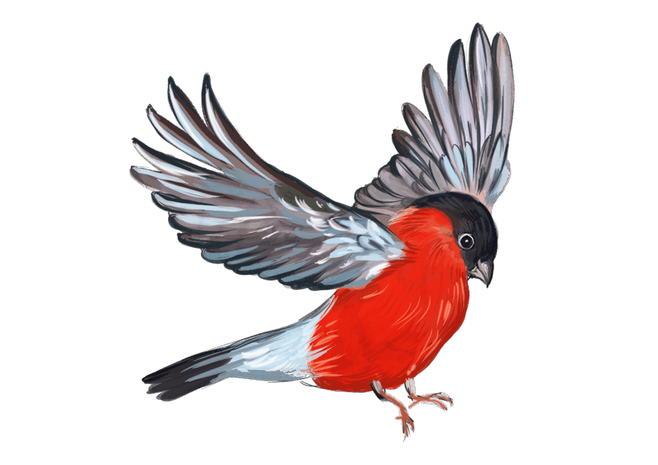 0500dpkv-ee52-940x665.png