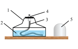 0500dr38-34eb-330x207.png