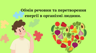 Обмін речовин та перетворення енергії в організмі людини. Узагальнення.