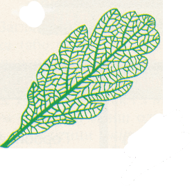 0500duq5-8578-277x271.png