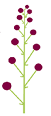 0500dutu-89d4-102x232.png
