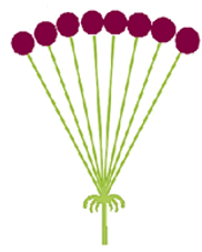 0500duv1-a861-182x227.png