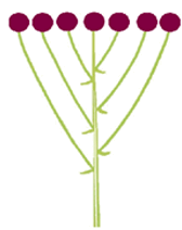 0500duvb-78b1-168x212.png
