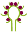 0500duvj-f1a6-117x130.png