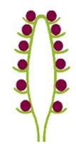 0500duvy-e74e-107x203.png