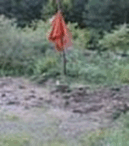 0500dw6o-1384-129x146.png