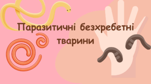 7 кл. Тест "Паразитичні безхребетні тварини"