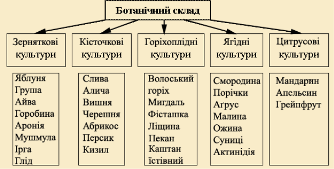 Вирощування плодових культуp