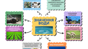 Ментальна карта "Значення води" ( 5 клас НУШ, "Пізнаємо природу")