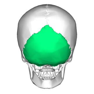 0500e8ai-ba9d-323x323.jpg