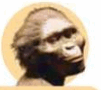 0500e8fb-8da4-101x90.png