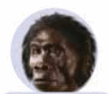 0500e8gd-f51b-109x94.png