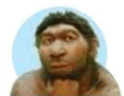 0500e8h6-b585-114x89.png