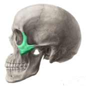 0500e99w-6b6e-172x172.png