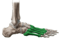 0500e9bo-9907-204x136.png