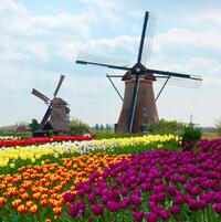 0500e9i6-d44c-200x201.jpg