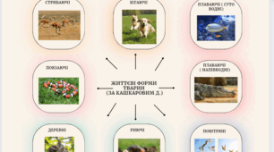 Ментальна карта "Життєві форми тварин" ( 11 клас, "Біологія і екологія")