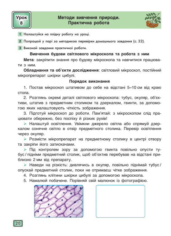 0500ed86-f4b9-556x768.png