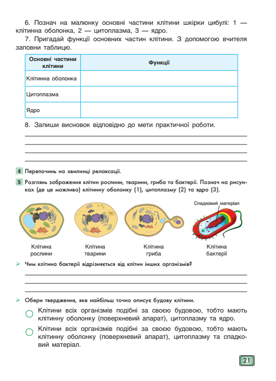 0500ed8a-bcfe-556x768.png