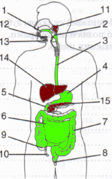 0500elbc-f321-162x258.png