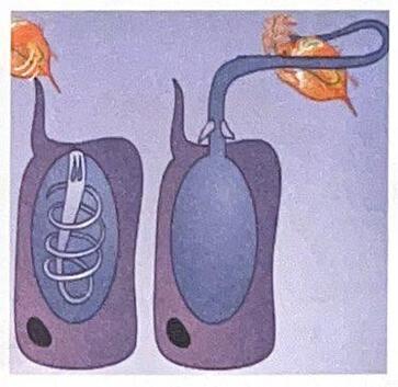 0500em3v-3d5e-363x353.jpg