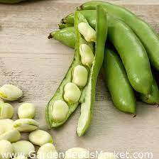 Квасоля "Бахус"; боби фави, боби фаби - – Garden Seeds Market | Безкоштовна доставка