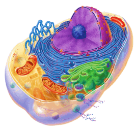 0500eq9q-375c-267x262.png