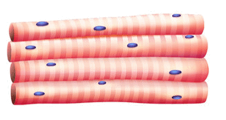 0500eqq9-6495-451x240.png